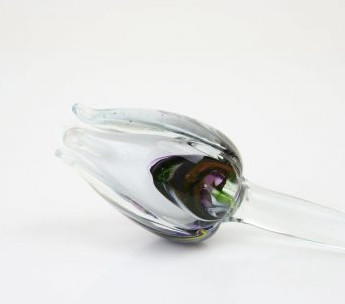 Tulp, multicolor-wit